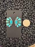 1/2 cluster post earrings. Native made.